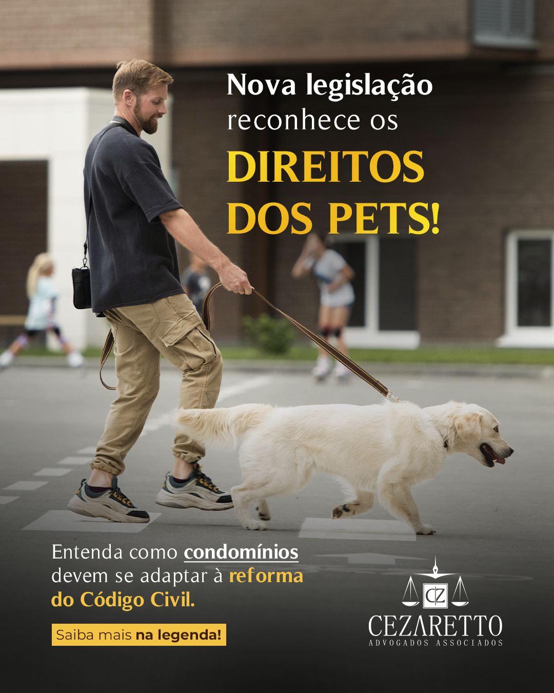Nova legislação reconhece os direitos dos pets!